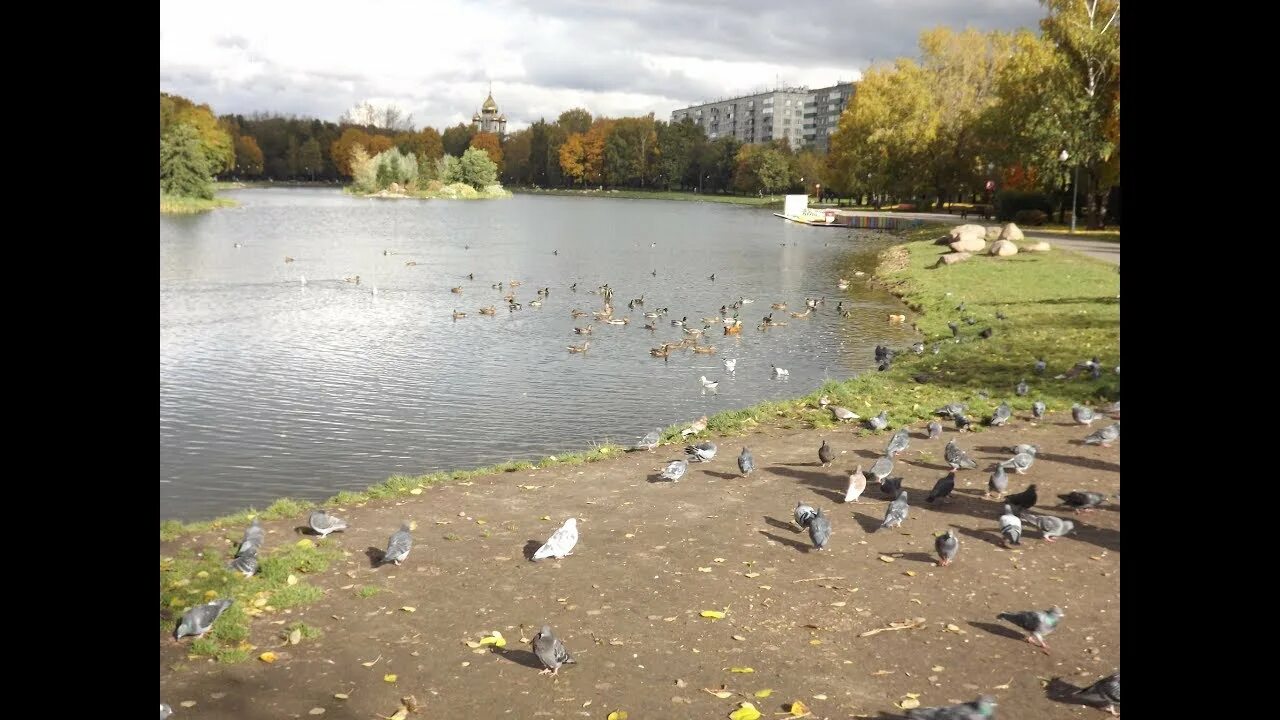 Ангарские пруды концерт. Парк ангарские пруды. Ангарские пруды концерт. Ангарские пруды, москва, ангарская улица. Ангарские пруды москва.