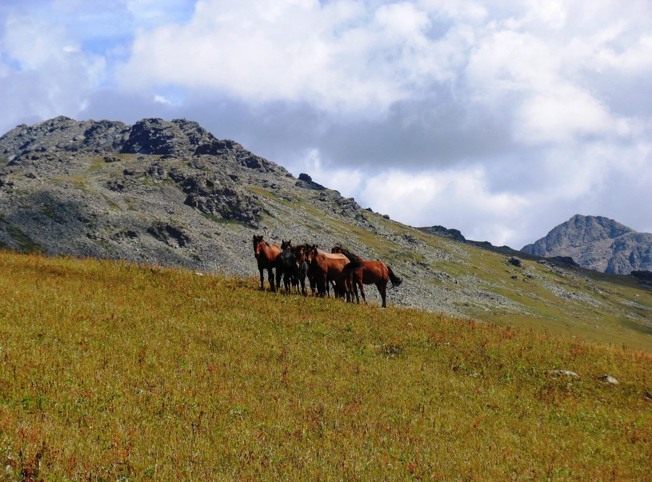 Сообщение о байкало ленском заповеднике. Самый крупный заповедник россии большой арктический. Самый молодой заповедник. Самый молодой заповедник. Самый молодой заповедник.