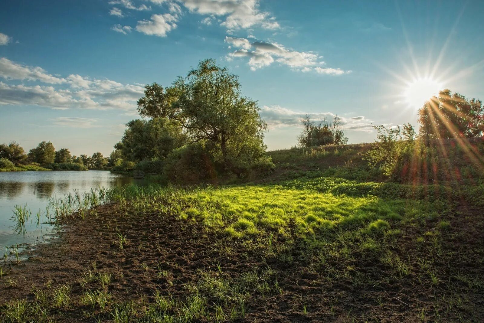 Горячего лета
