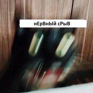 Нервный срыв 2024