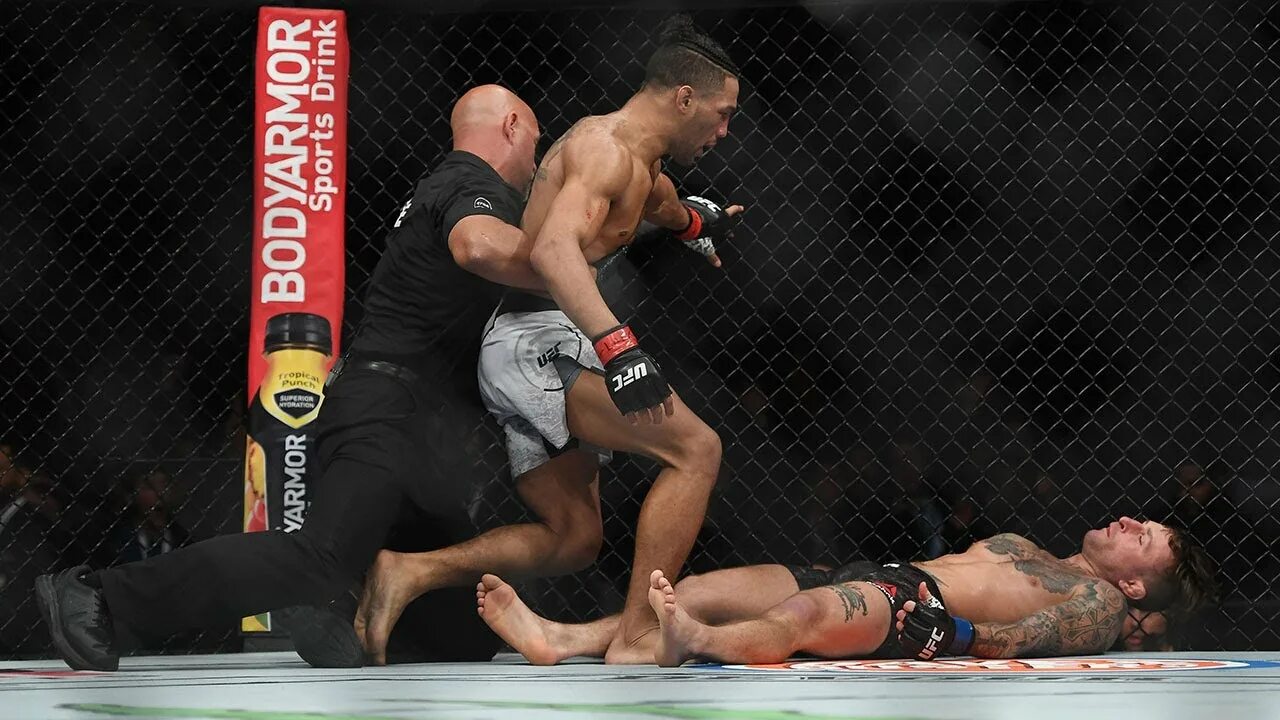 Ufc без правил