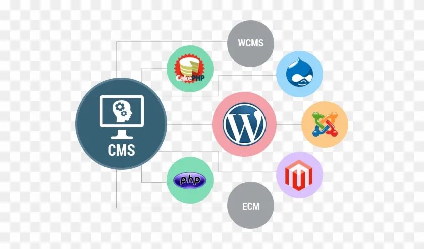 Программа для китайских видеокамер. Cms 3. Cm download. Cm download. Cms client.