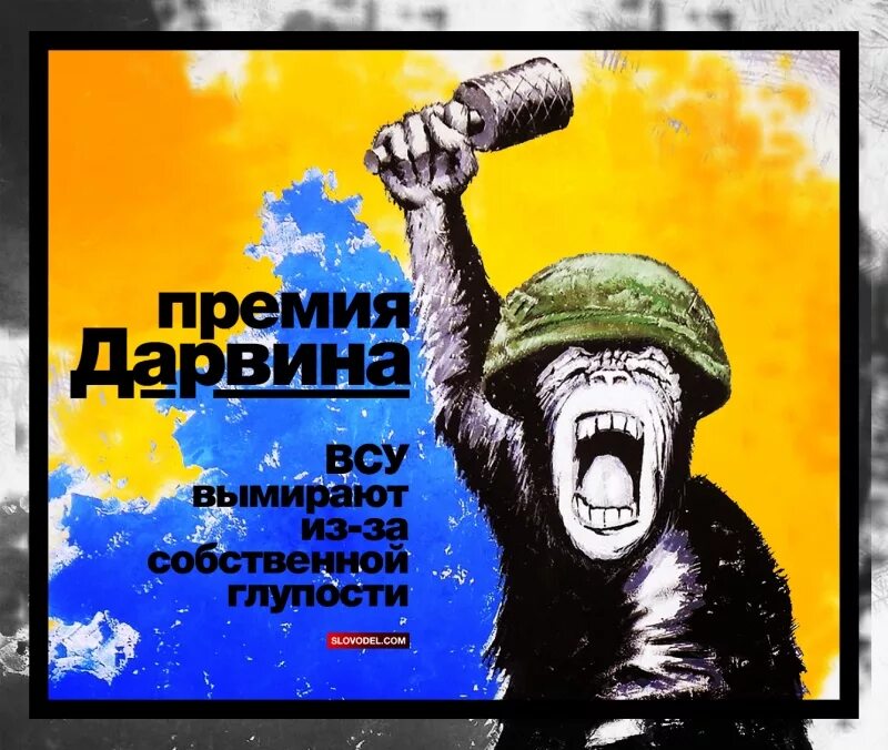Собственной глупости. Премия дарвина прикол. Глупость картинки для детей. Иногда приходится защищаться чтобы атаковать. Премия дарвина награда.
