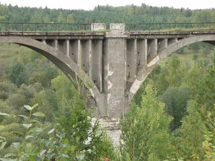 Сарс пермский