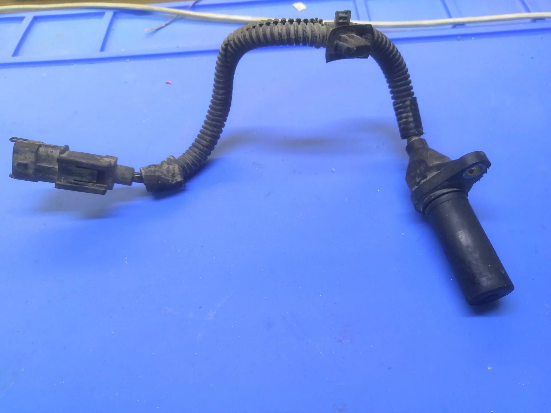 6. 6 датчика коленвала. Датчик коленвала киа сид 2008 1. Датчик коленвала кия сид 1. 6 2013 года артикул.