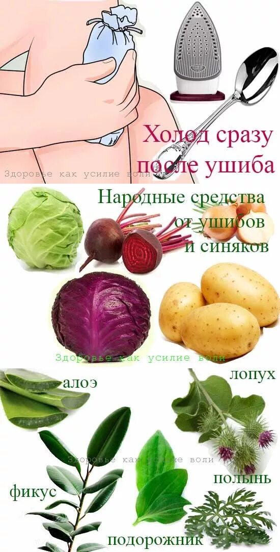 Средства лечения ушибов. Народные средства при ушибах. народные средства от ушибов. народные средства от синяков при ушибах. наружные средства от ушибов.