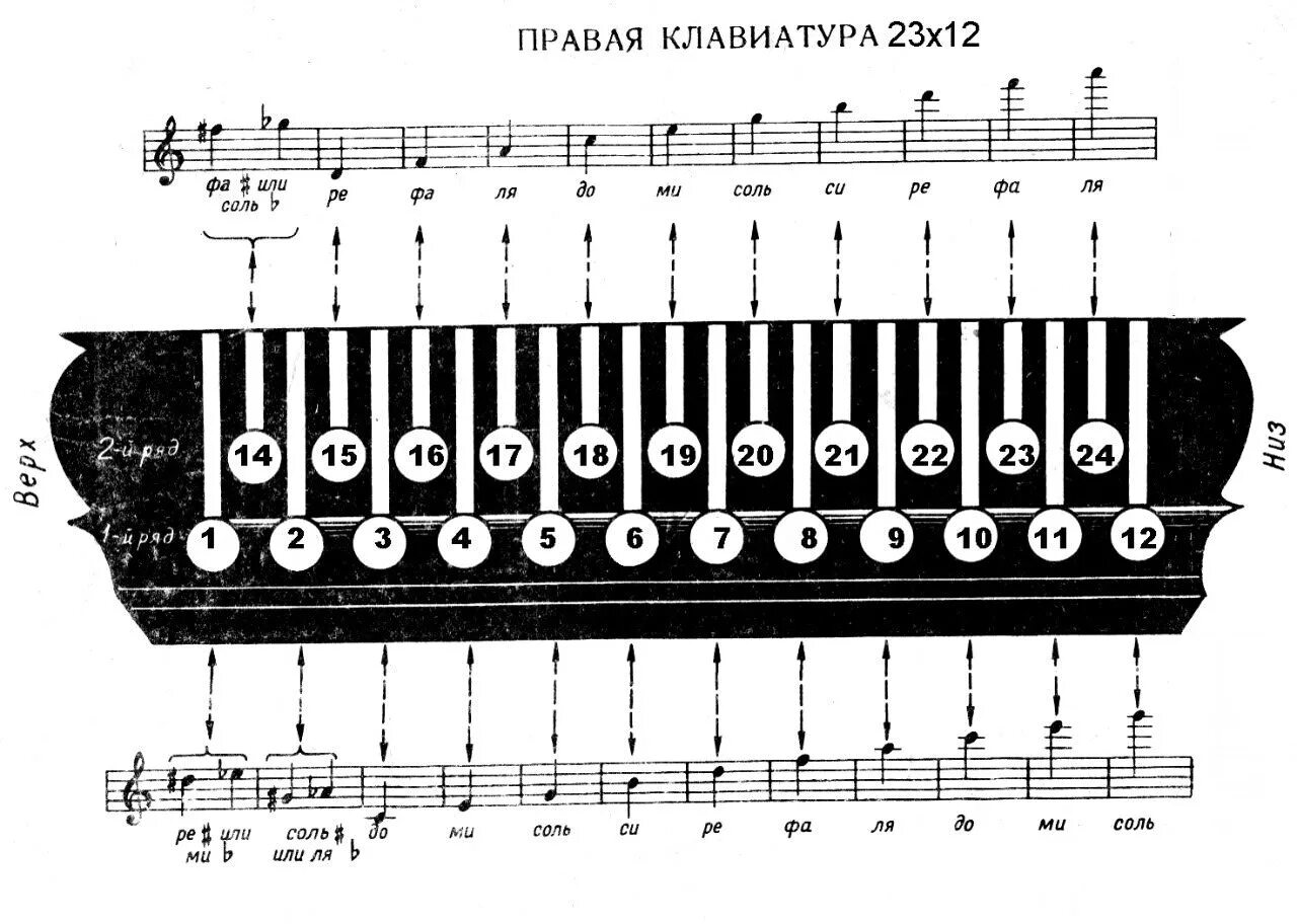 Схема левой клавиатуры гармони хромки. Схема нот на гармони русская гармонь. Схема правой клавиатуры гармони 27/25. Схема нот на гармони хромка 25x23. Аккорды на баяне правая