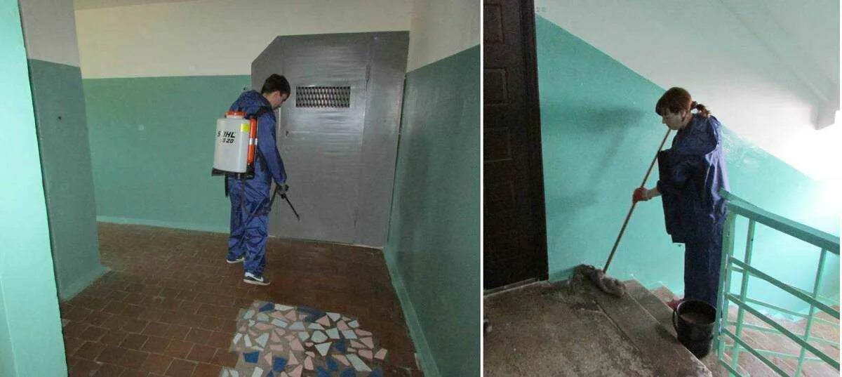 Многоквартирных домах мыть. Уборка подъездов. уборщица подъездов. мытье лестничных площадок. пол в подъезде.