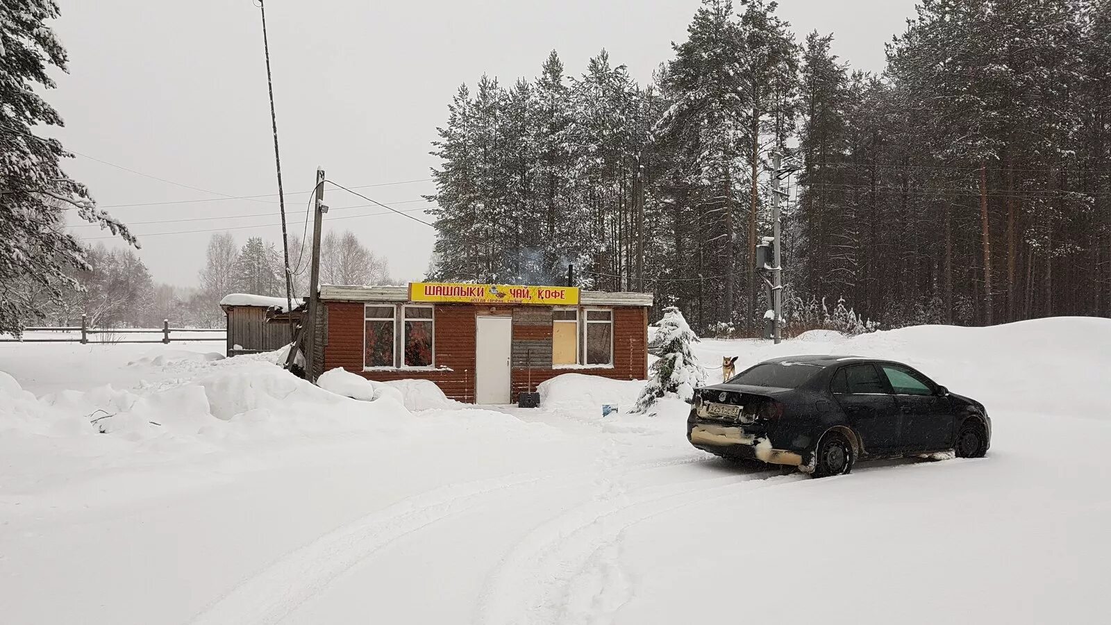 Эжва кафе шашлычная. Шашлычная номер 1 сыктывкар тентюковская. Дядя боря прикол. Шашлычная сыктывкар тентюковская. Шашлычная сыктывкар тентюковская.