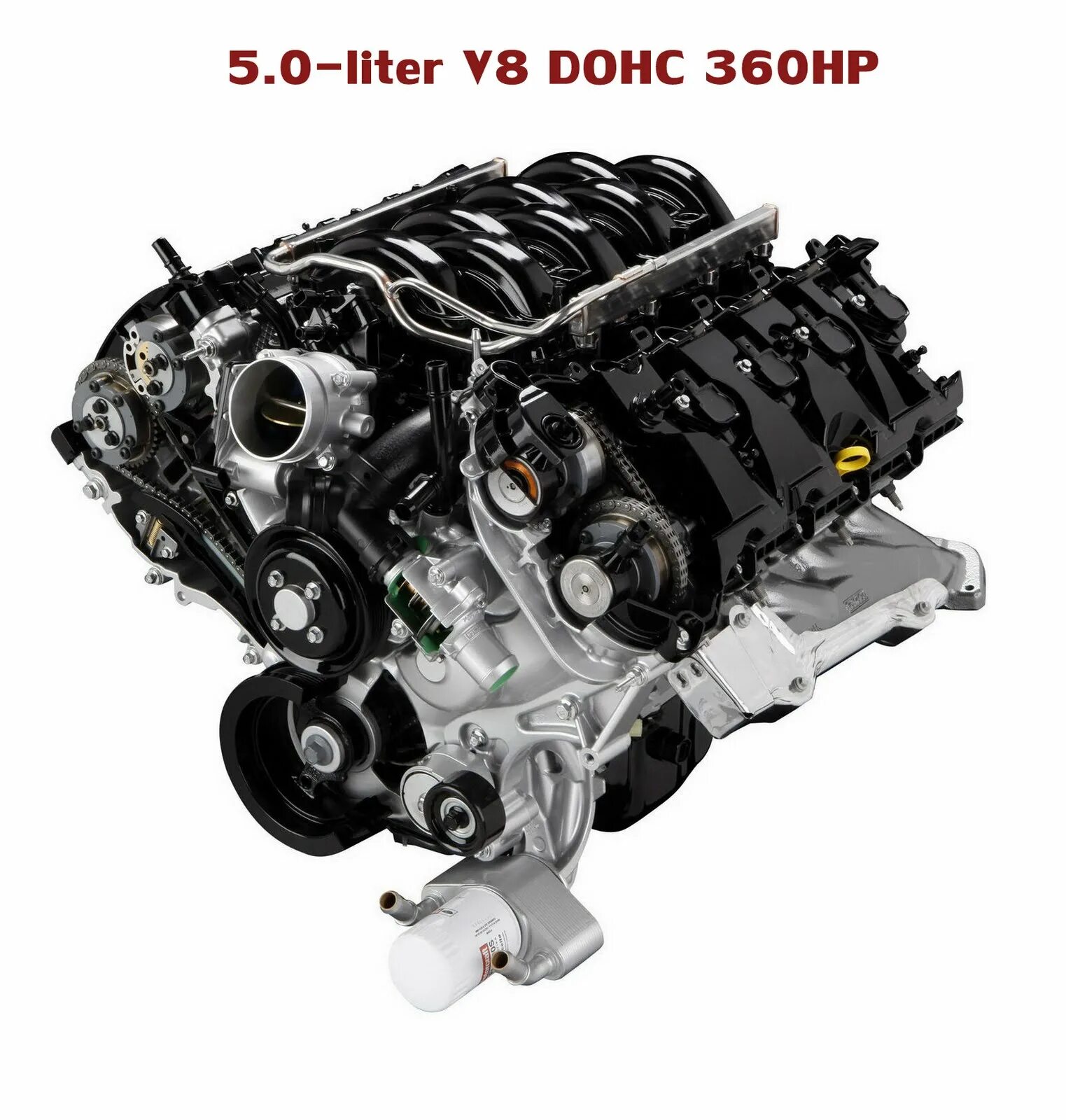 L dohc