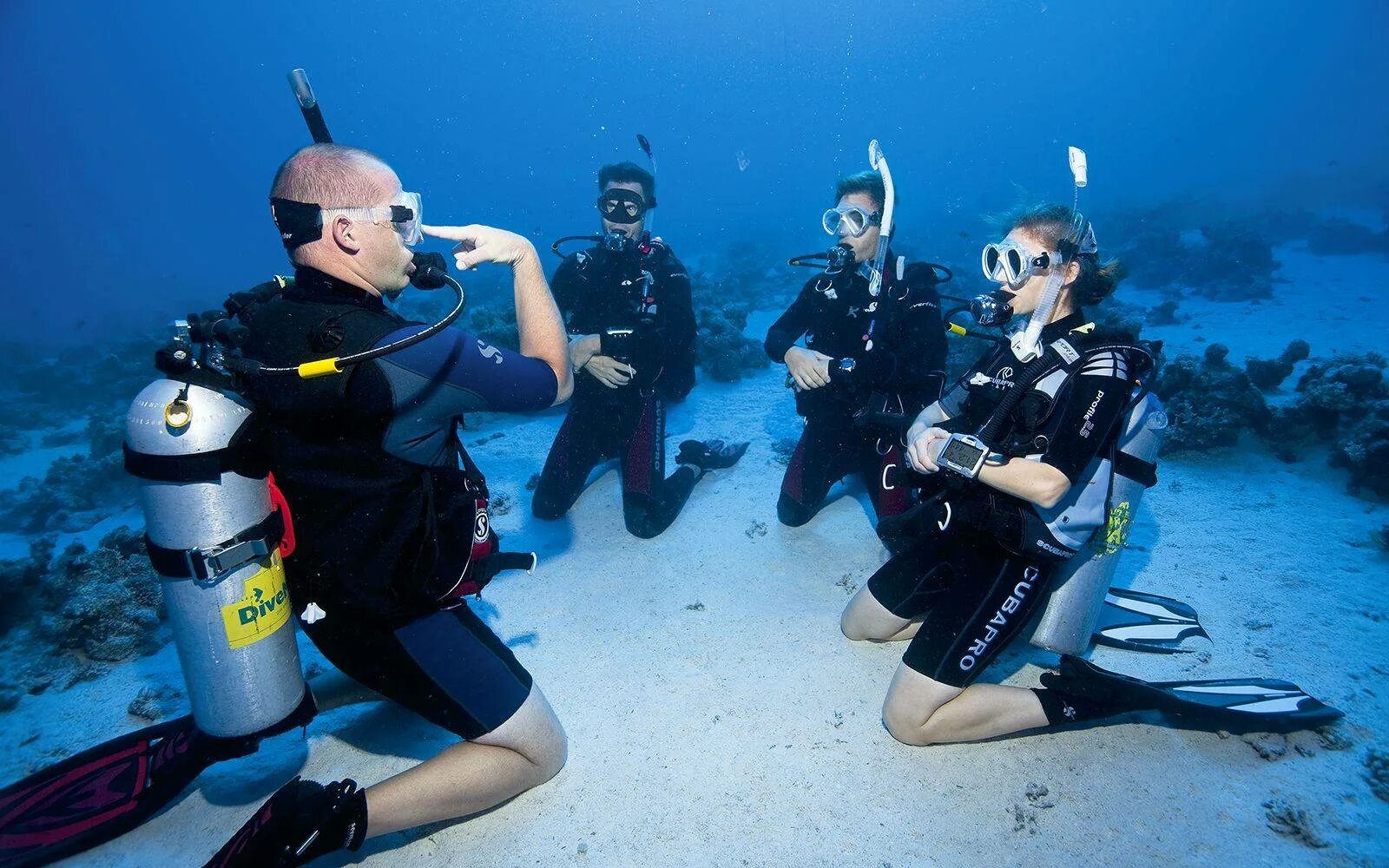 Скуба дайвинг. Дайвинг Scuba. Рача Ной дайвинг. Padi дайвинг. Лов дайв