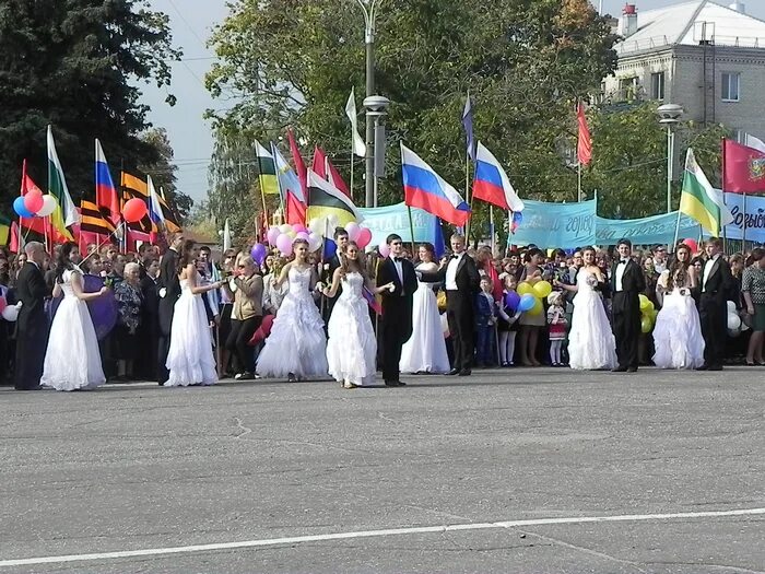 Погода г новозыбков