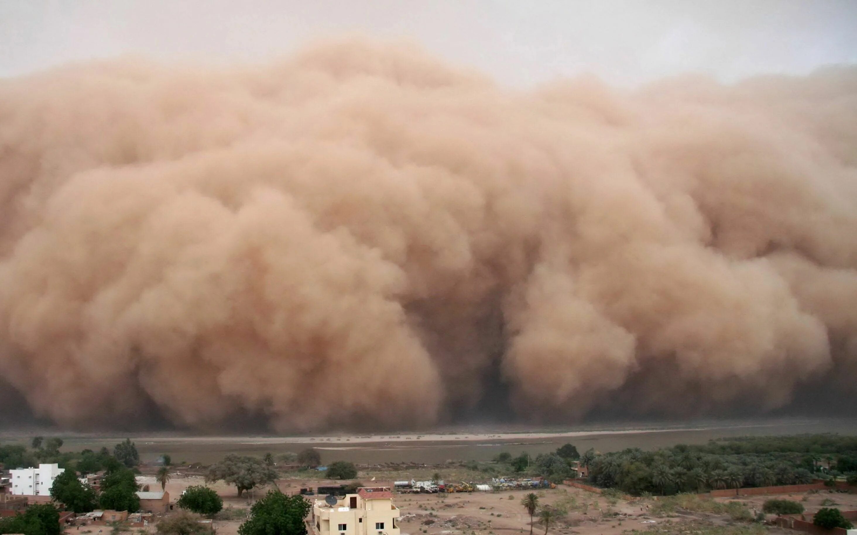 Самые сильные ветры на планете. Песчаная буря в Ташкенте. Пыльные бури в Калмыкии. Песчаные и пыльные бури. Актау пыльная буря 2022.