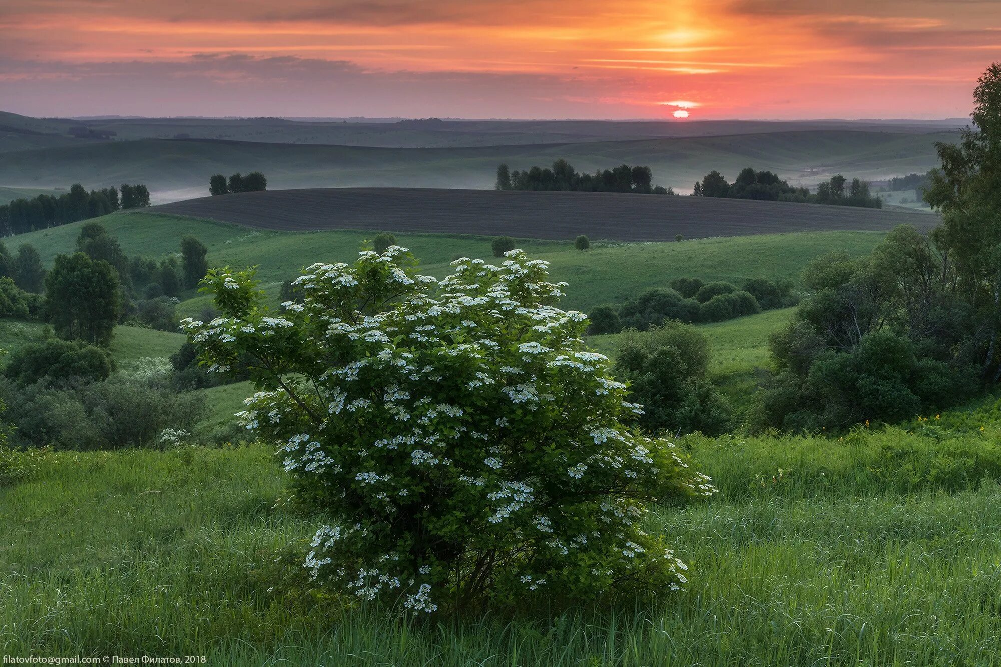 Луга белоруссии. Природа калинова. Рассвет алтайский край. Природа калинова. Река воронка тула.