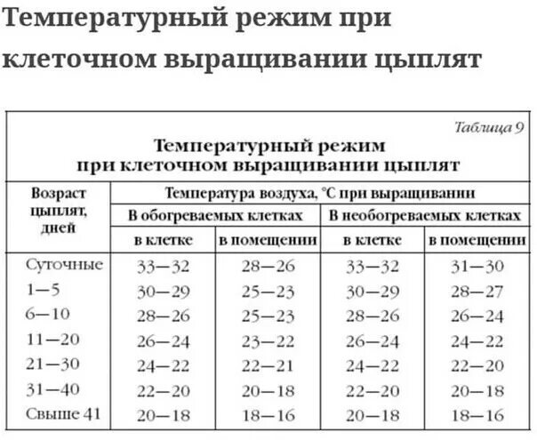 Температура тела кур. Температурный график содержания цыплят. Температурный режим при выращивании цыплят. Режим температуры в брудере для цыплят. Температура в брудере для цыплят бройлеров таблица.