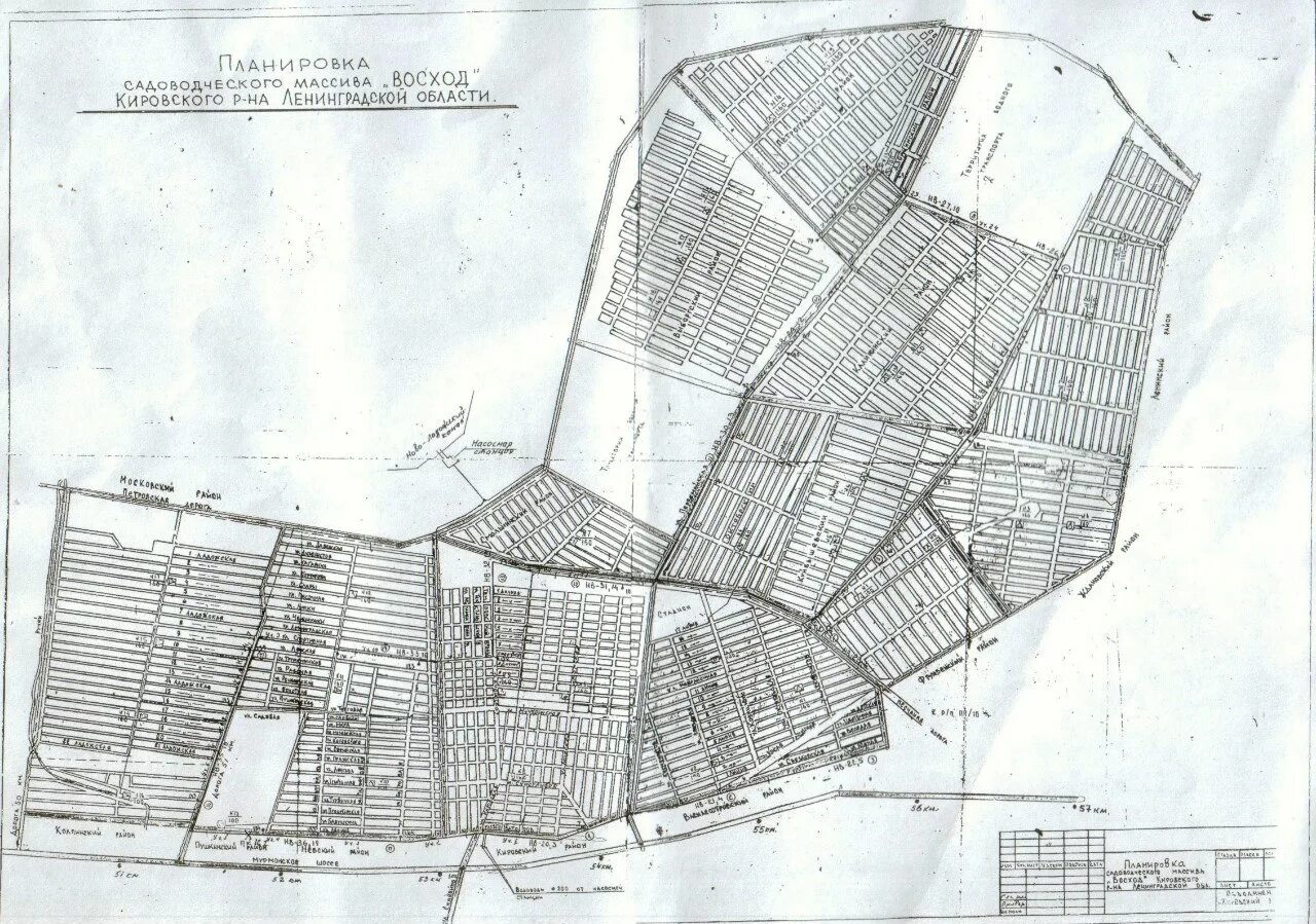 Снт восход кировский район ленинградская область. План садоводства Восход Кировского района. Синявино Ленинградская область Садоводство Восход 1. Массив Восход Кировский район Ленинградская область.