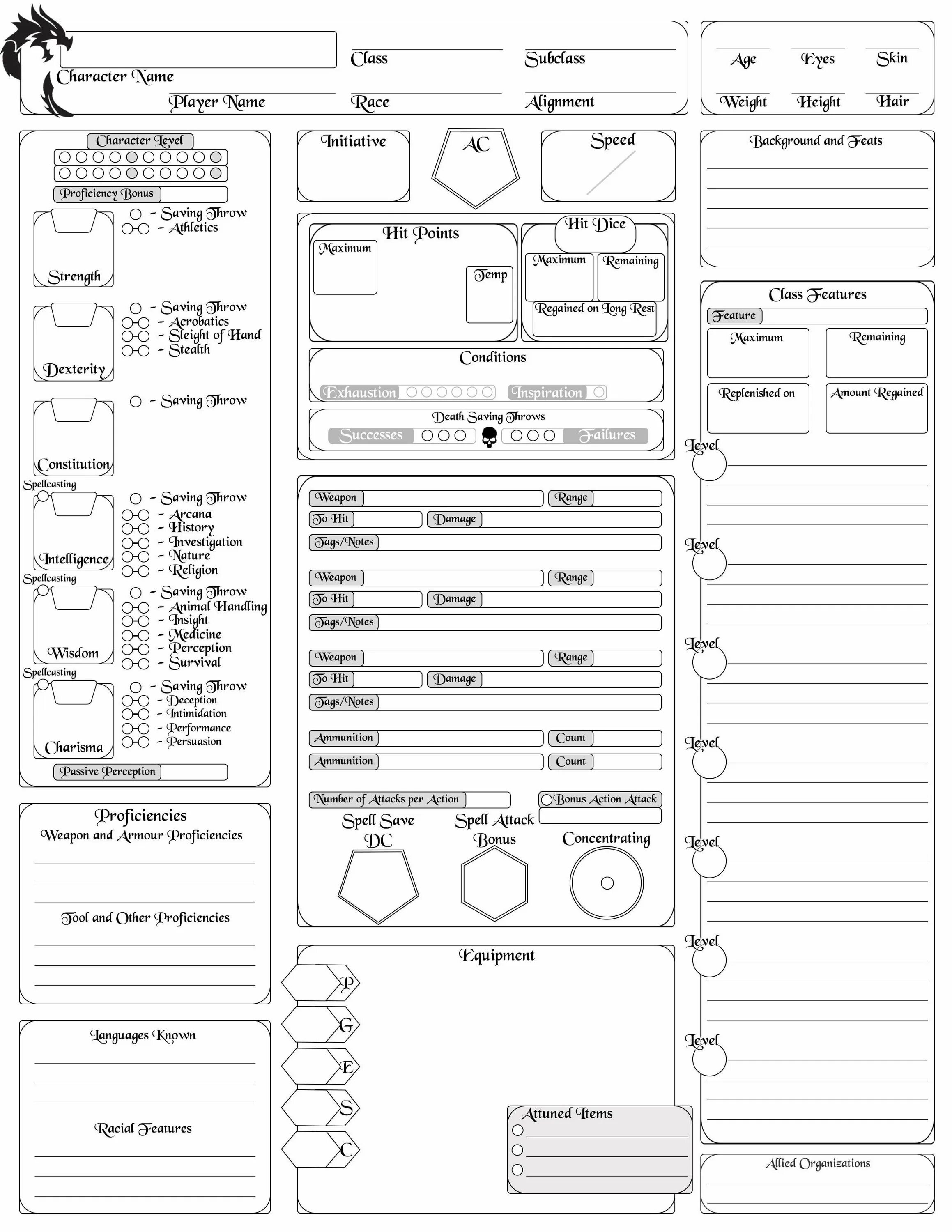 Лист персонажа днд 5 печать. Dungeons and Dragons лист персонажа. Лист персонажа ДНД 5. DND 5 лист персонажа. DND 5e лист персонажа.