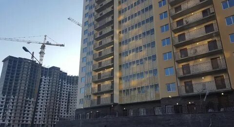Невская звезда отзывы