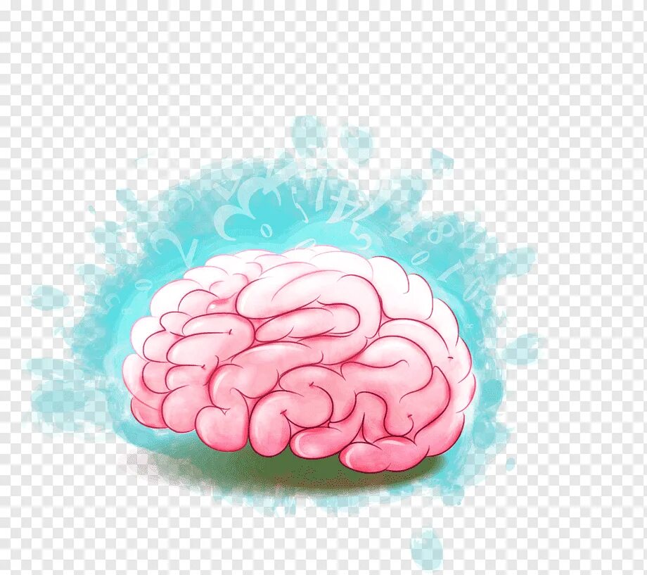 Фон с мозгами. Мозг без фона. Мозг нарисованный. Мозг векторное изображение. Мозг на прозрачном фоне.