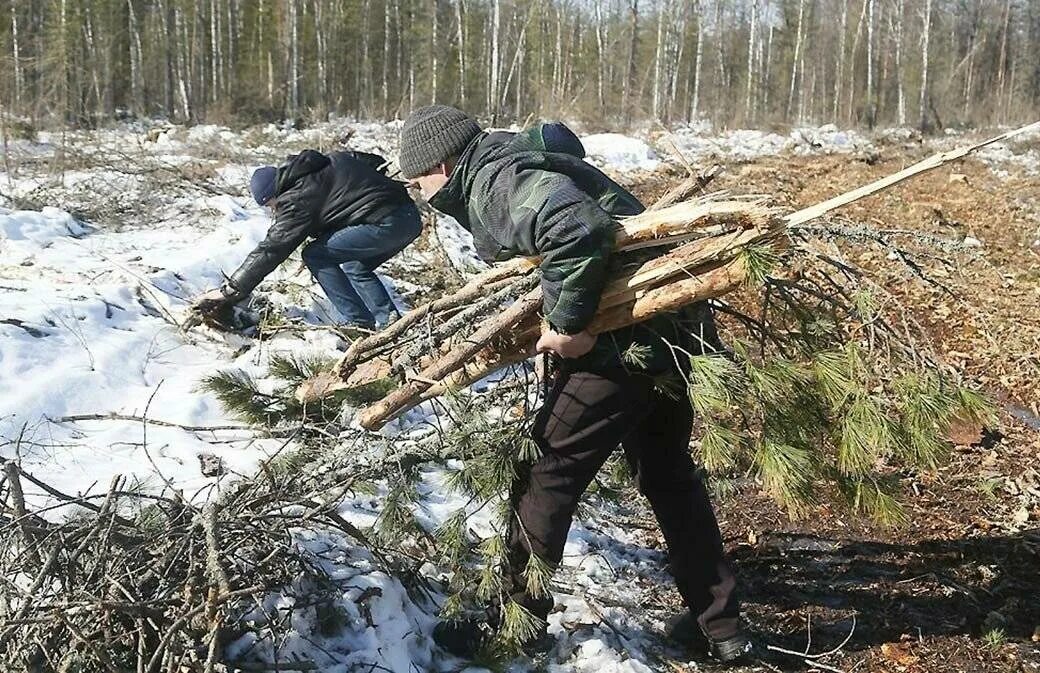 Пилить упавшие деревья