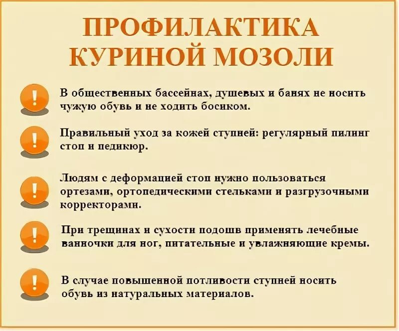 профилактика бройлеров. сальмонеллез (паратиф) у птиц. пастереллез кур болезнь. профилактика куру. вакцинация птицы на птицефабрике.