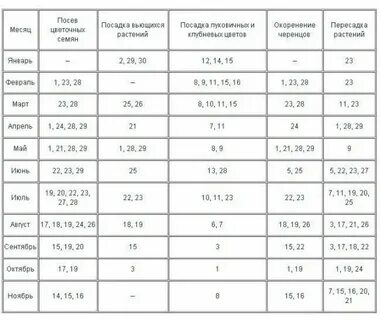 Календарь пересадки комнатных цветов в июле 2024