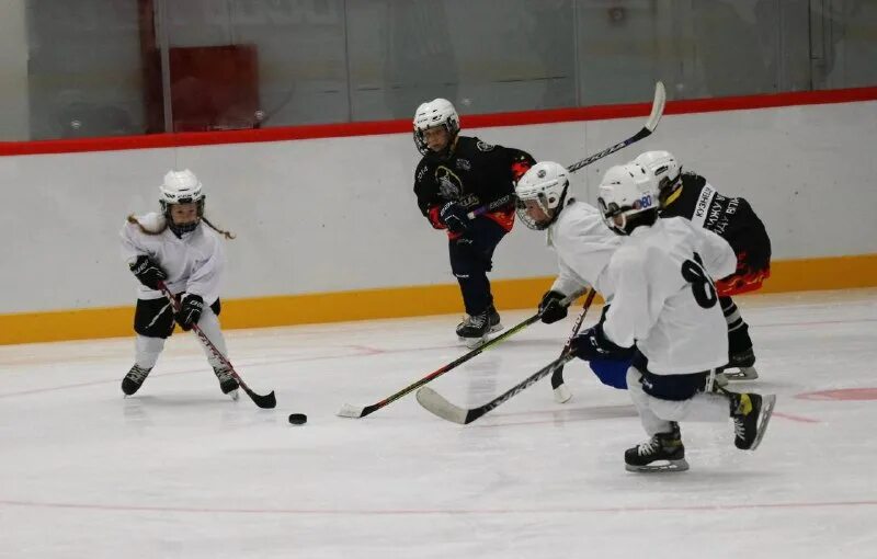 Скифы новые зори. Скифы новые зори. Скифы новые зори. Зарифуллин новые скифы. Скифы новые зори.