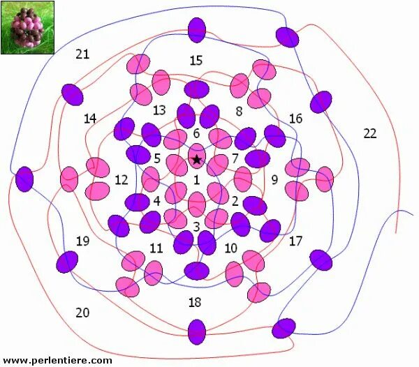Схема на кругляша. Кругляши из бисера схемы. Схемы для бисероплетения кругляши. Схемы из бисера на круглеша. Схема круглящюшей из бисера.