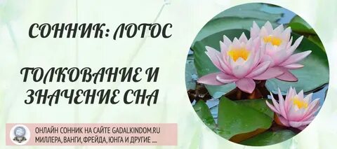 Сонник толкование цветы