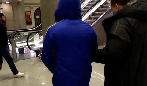 Дзен новости спб