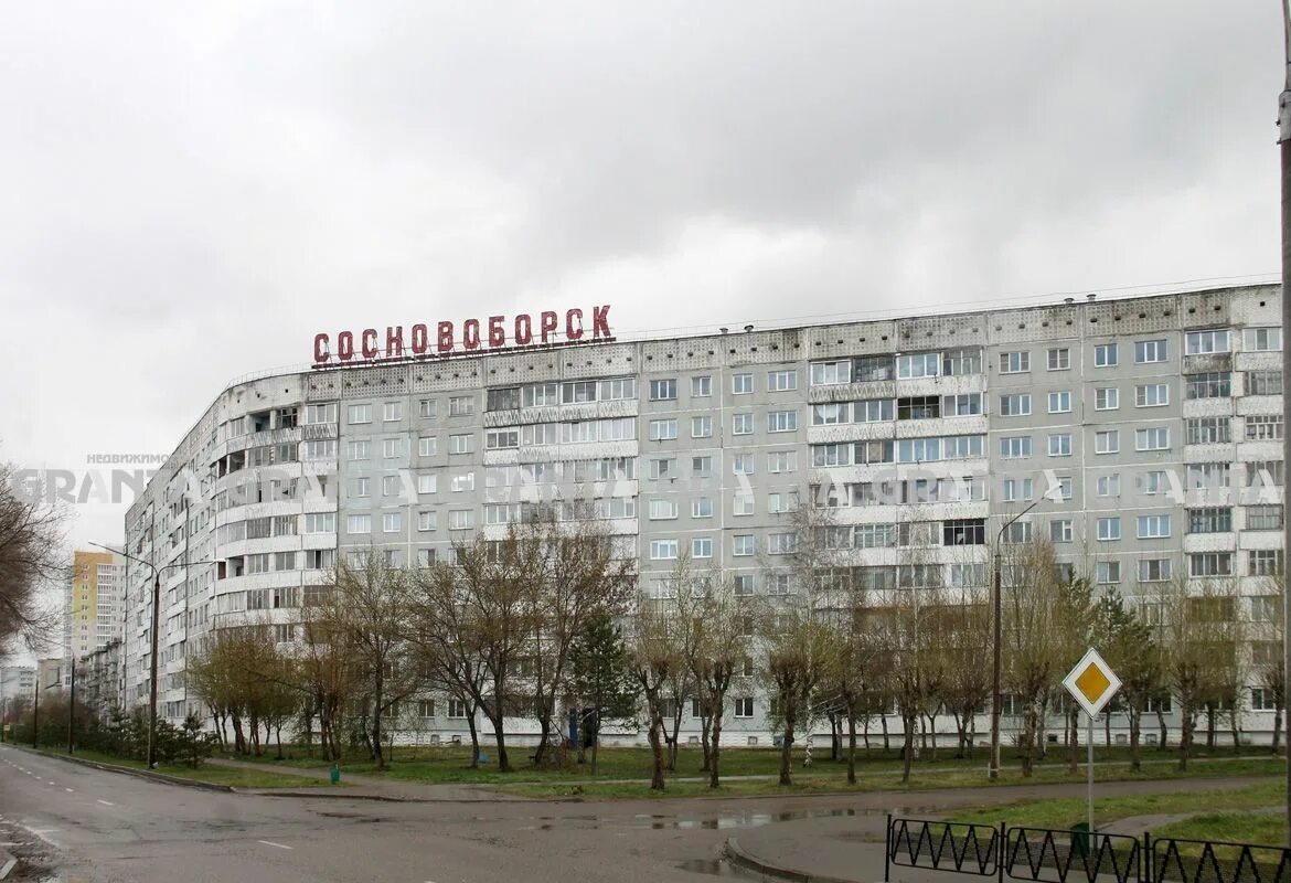 Население города сосновоборск красноярский край. Сосновоборск красноярский край площадь. Численность сосновоборска красноярского края. Население города сосновоборск красноярский край. Сосновоборск 2015.