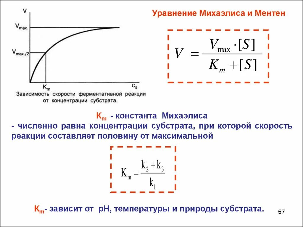 Зависимость ферментов от концентрации субстрата. Характеристика константы Михаэлиса-Ментен. Уравнение Михаэлиса-Ментен, Константа Михаэлиса. Кинетические характеристики константы Михаэлиса. Константа Михаэлиса единица измерения.