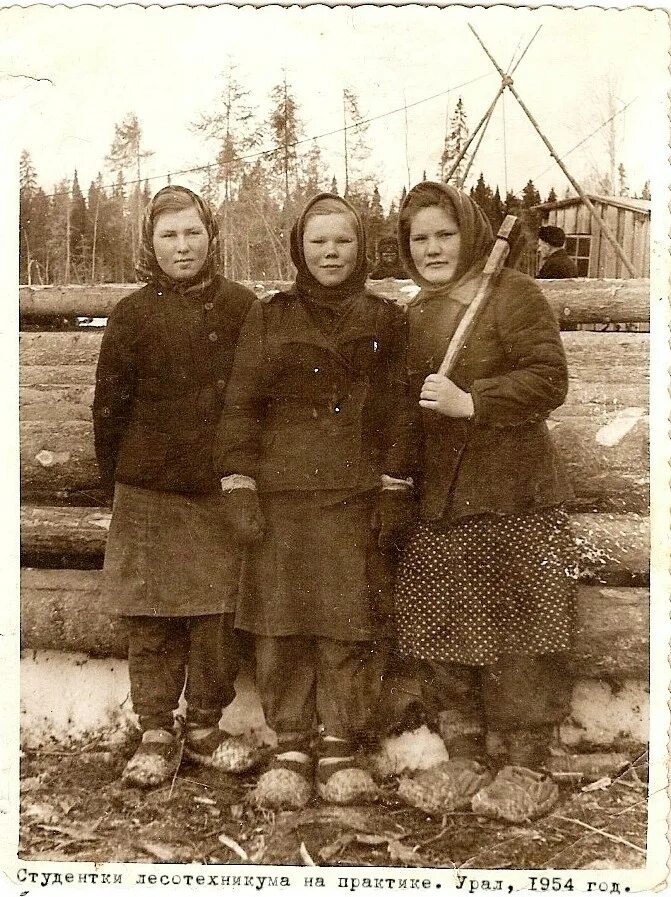 Советские крестьяне 30-х годов. Колхоз москва алтайский край. Колхоз красный лапоть вывеска. Хлебозаготовки в сибири 1928 г. Колхоз лапоть.