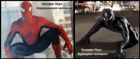 Ты знаешь человека паука
