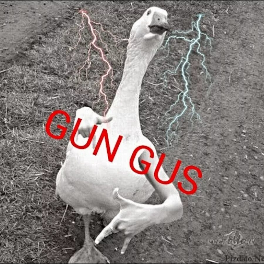 Гусь иллюстрация. Гуси гуси гана. Гуси гуси гана. Стишок гуси гуси га га га. Гуси гуси гана.