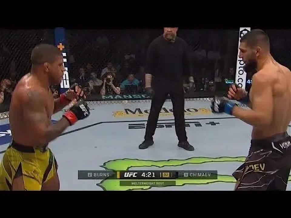 Хамзат Чимаев Бернс бой. Бернс ufc 299