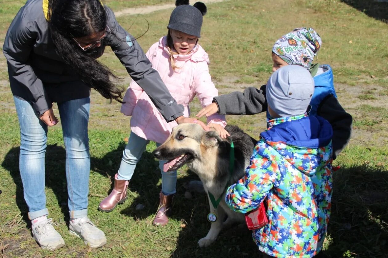 Дрессировка собак южно-сахалинск. Школа елизар дрессировка собак южно сахалинск. Корсаков собака. Итальянская порода собак кане корсо. Сэмка.