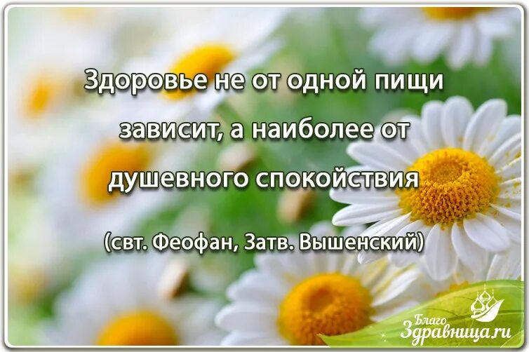 Желаем доброго здравия. Желаем доброго здравия