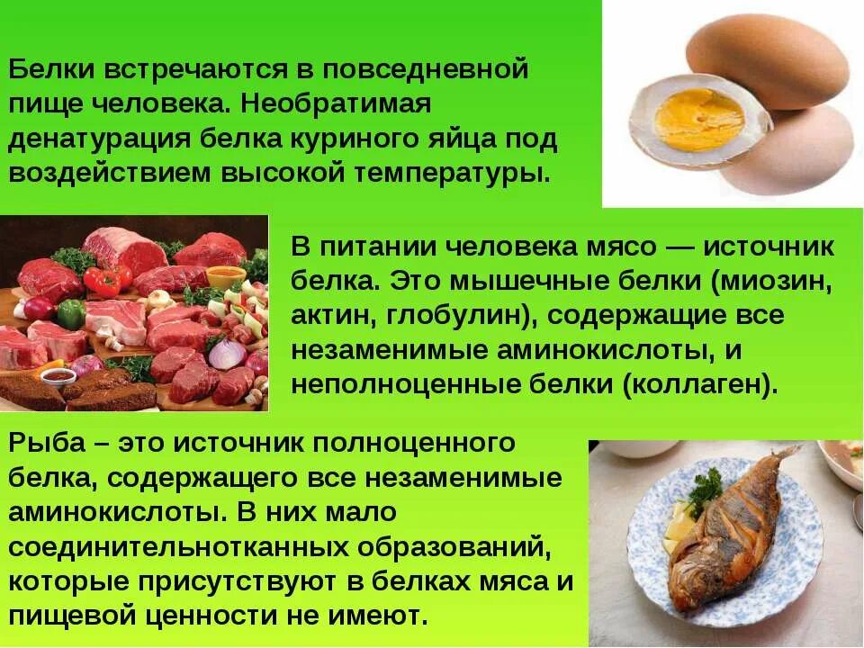 Пища человека белки жиры и углеводы