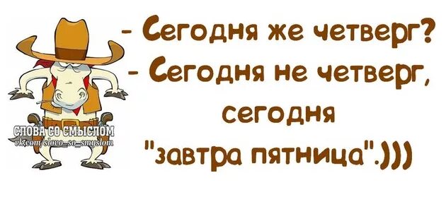 Что будем делать в четверг. Смешные фразы про четверг. Доброе утро со смыслом прикольные. Цитаты про четверг смешные. Четверг смешные рисунки.