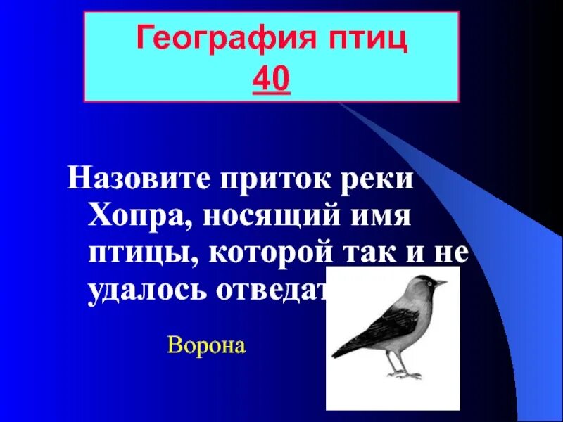 Разбор имени птица. Имена птиц. География птицы. Клички для птичек. Какая птица носит название писателя.