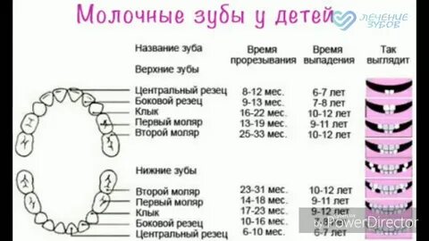 Зубы в 5 месяцев
