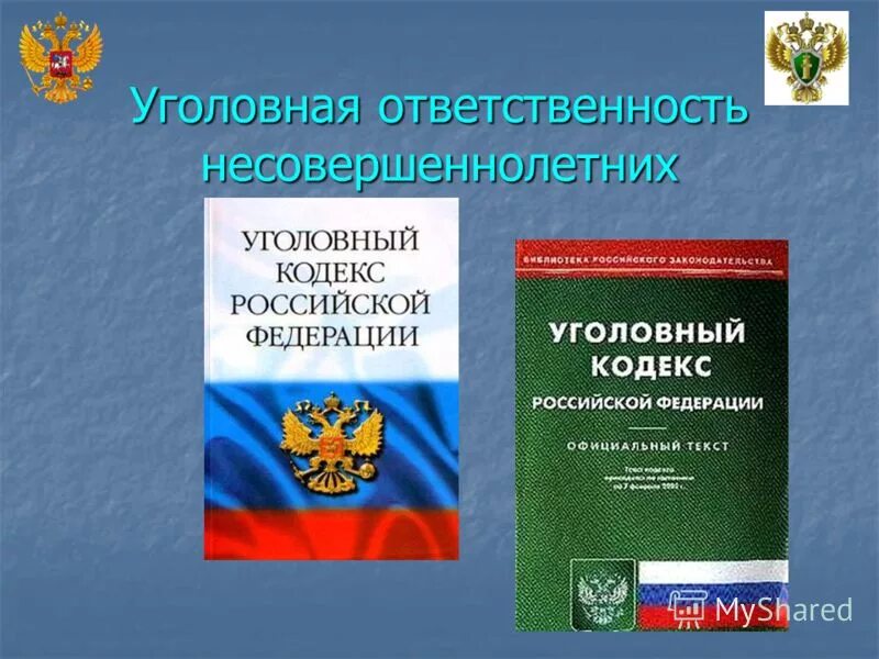 Уголовная ответственность в социальной сфере