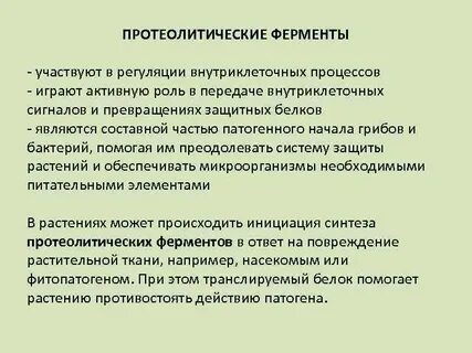 Роль протеолитических ферментов