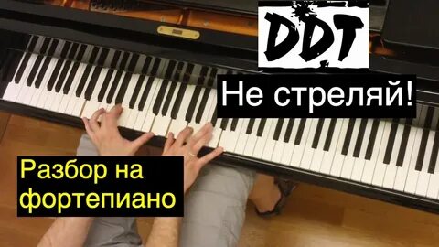 Не стреляй аккорды