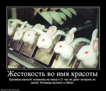 Имя жестокость