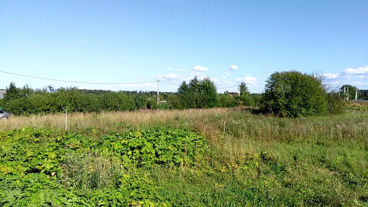 Ракитино калининградская область. Зайцево новгородская область. Тихковицы. Деревня зайцево гатчинский район. Зайцево ленинградская область.