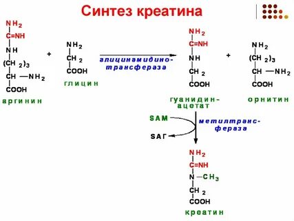 А также в синтезе