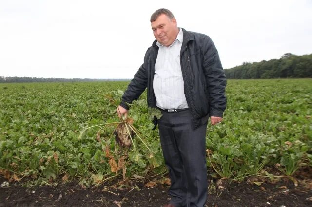 Погода алтайский край смоленский район линевский. СХПК Племзавод Радищево. СХПК Радищево Гагаринский район Смоленская область колхоз-Племзавод. СХПК Новомихайловский колхоз татарский район.