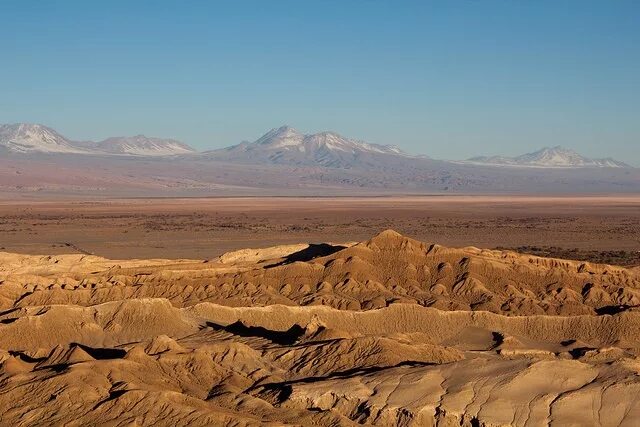 Пампасы нанду. Пустыня в южной америке 7. Пустыни южной америки 7 класс. Природные зоны ю америки. Пустыня атакама климат.